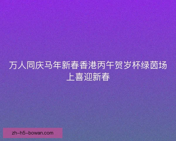 万人同庆马年新春香港丙午贺岁杯绿茵场上喜迎新春 万人同庆马年新春香港丙午贺岁杯绿茵场上喜迎新春